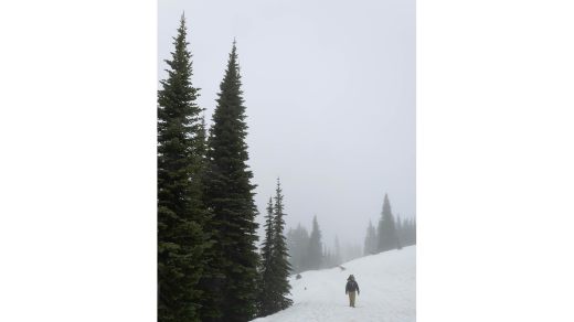 20 Unique Travel Experiences to Add to Your Bucket List