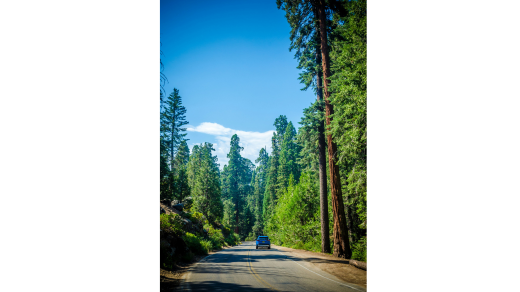 15 Must-Watch Movies That Define the Decade